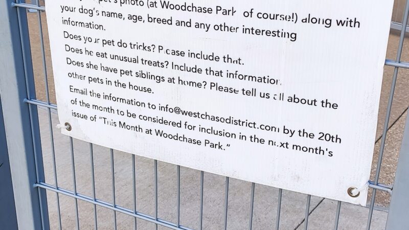 Woodchase Dog Park - Houston, TX