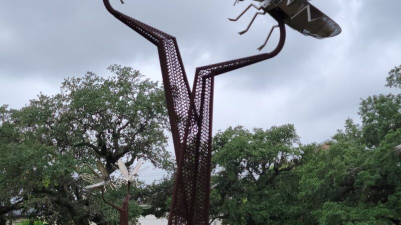 Woodland Park - Houston, TX