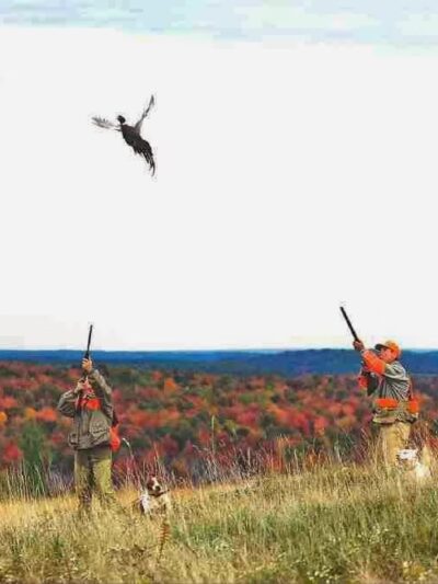 Warriors Mark Wingshooting - Houtzdale, PA