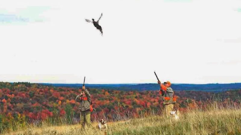 Warriors Mark Wingshooting - Houtzdale, PA
