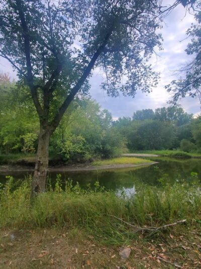 Bill Anderson Memorial County Park - Howard Lake, MN