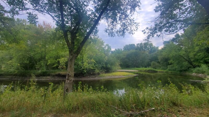 Bill Anderson Memorial County Park - Howard Lake, MN