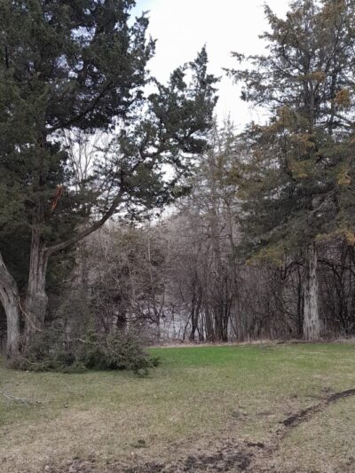 Bill Anderson Memorial County Park - Howard Lake, MN