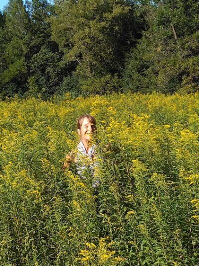 Bill Anderson Memorial County Park - Howard Lake, MN