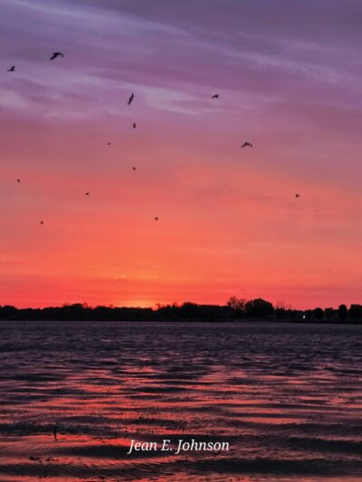 Memorial Park - Howard Lake, MN