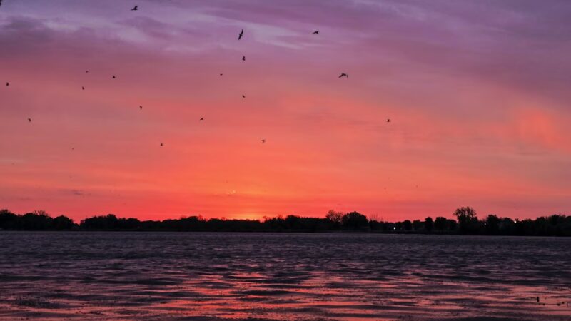 Memorial Park - Howard Lake, MN