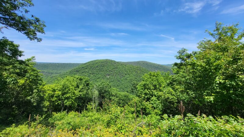 Bald Eagle State Park - Howard, PA