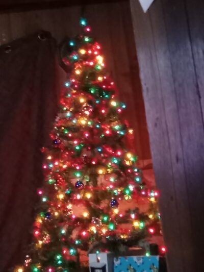 Mongo Community Park - Howe, IN