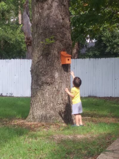 Memorial Park - Howe, TX