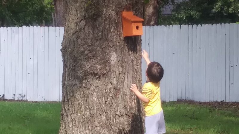 Memorial Park - Howe, TX