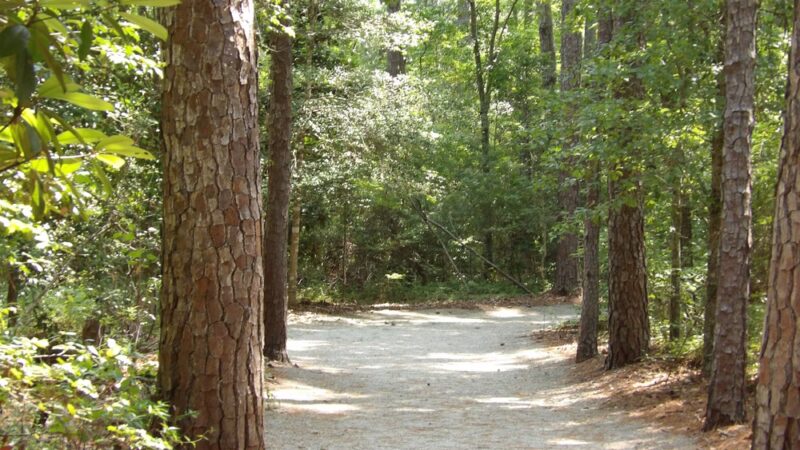 Onslow County Parks: Hubert By-Pass Park - Hubert, NC