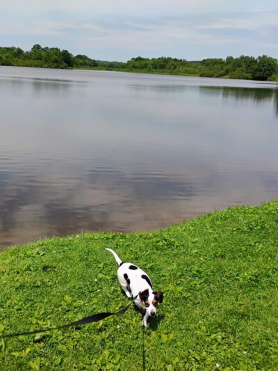 Lake Emerson Park/Humbird Park - Humbird, WI