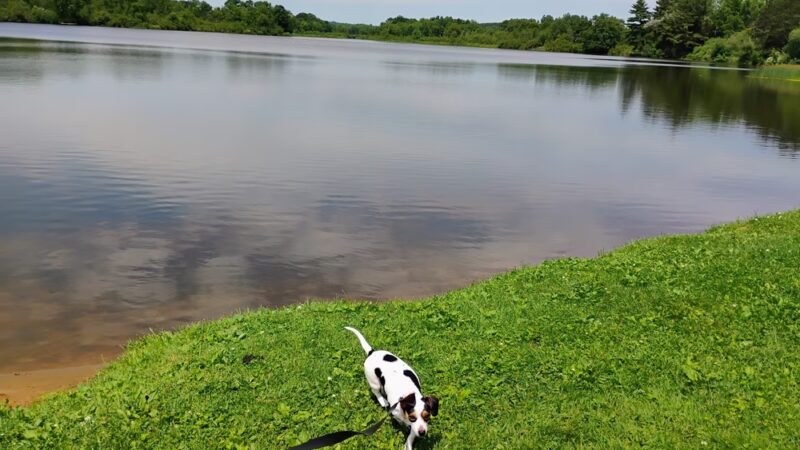 Lake Emerson Park/Humbird Park - Humbird, WI