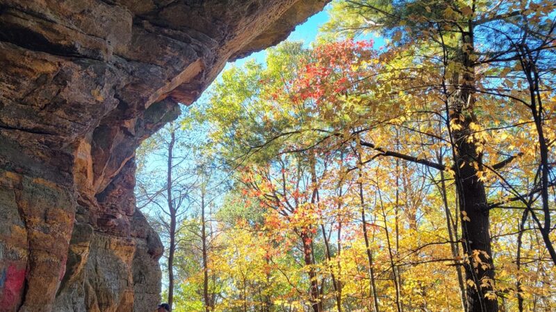 Wildcat Mound Park - Humbird, WI