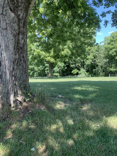 Brinser Park - Hummelstown, PA