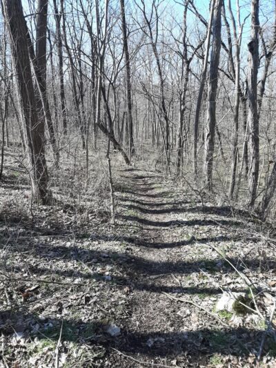 Gelder Park - Hummelstown, PA