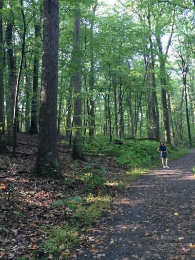 Hummel Nature Trail - Hummelstown, PA