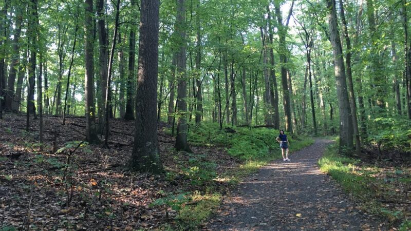 Hummel Nature Trail - Hummelstown, PA