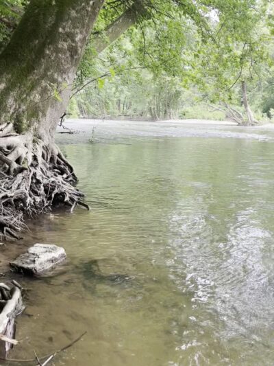 Hummel Nature Trail - Hummelstown, PA