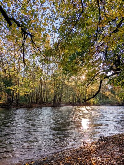 Hummel Nature Trail - Hummelstown, PA