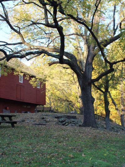 Shank Park - Hummelstown, PA