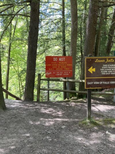 Gorge Trail (#1) - Lower Falls Trailhead - Hunt, NY