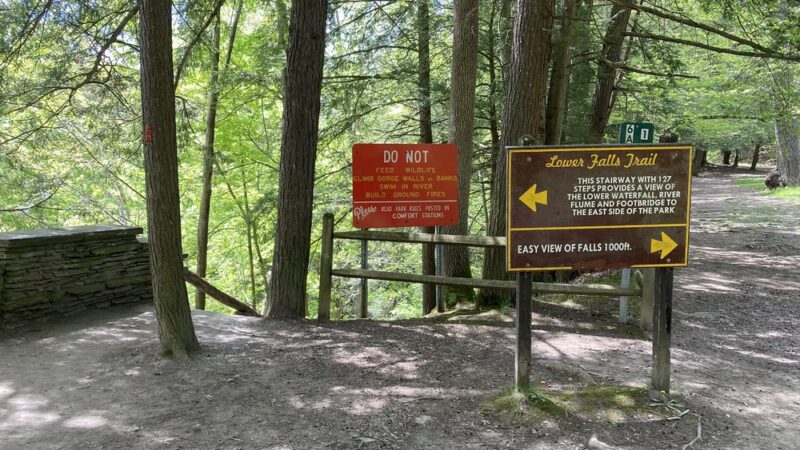 Gorge Trail (#1) - Lower Falls Trailhead - Hunt, NY