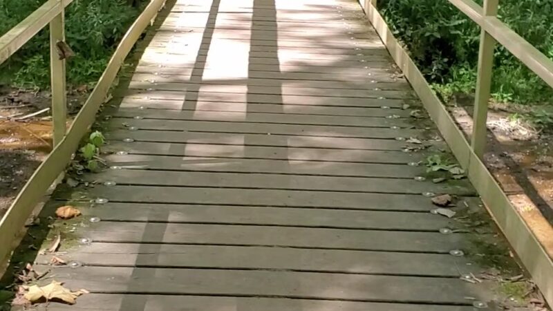 Bicentennial Woods - ACRES Land Trust - Huntertown, IN