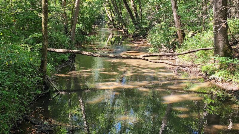 Bicentennial Woods - ACRES Land Trust - Huntertown, IN