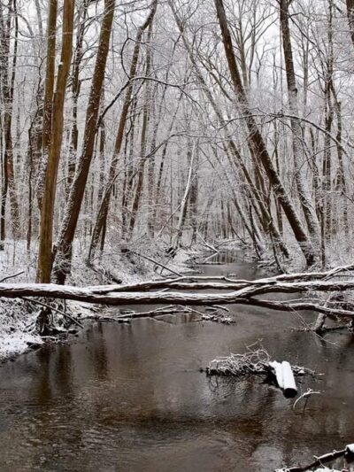 Bicentennial Woods - ACRES Land Trust - Huntertown, IN