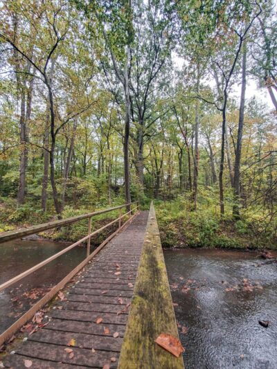 Bicentennial Woods - ACRES Land Trust - Huntertown, IN