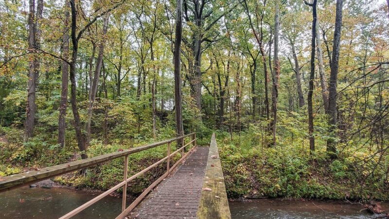 Bicentennial Woods - ACRES Land Trust - Huntertown, IN