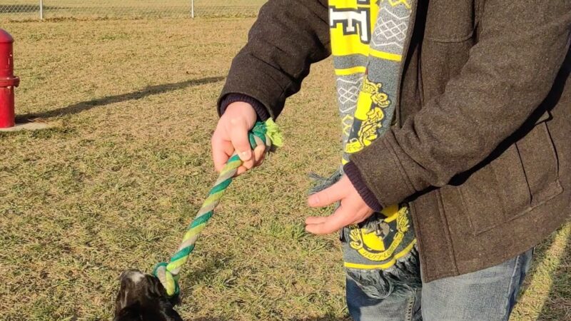 Huntertown Family Park - Huntertown, IN