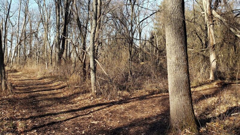 Huntertown Family Park - Huntertown, IN