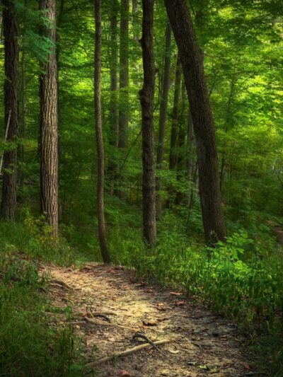 Tom & Jane Dustin, Robert and Rosella C. Johnson, Whitehurst Nature Preserves - Huntertown, IN