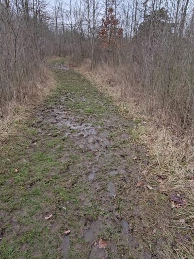 Tom & Jane Dustin, Robert and Rosella C. Johnson, Whitehurst Nature Preserves - Huntertown, IN