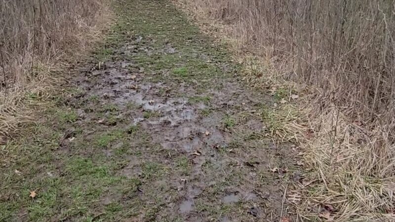 Tom & Jane Dustin, Robert and Rosella C. Johnson, Whitehurst Nature Preserves - Huntertown, IN