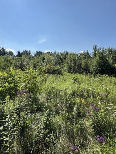 Tom & Jane Dustin, Robert and Rosella C. Johnson, Whitehurst Nature Preserves - Huntertown, IN