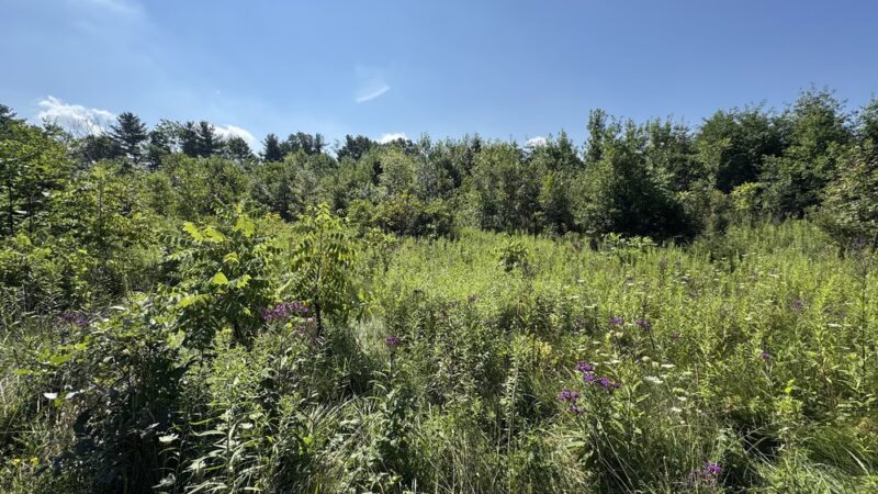 Tom & Jane Dustin, Robert and Rosella C. Johnson, Whitehurst Nature Preserves - Huntertown, IN