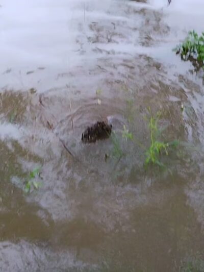 Portstown Park - Huntingdon, PA