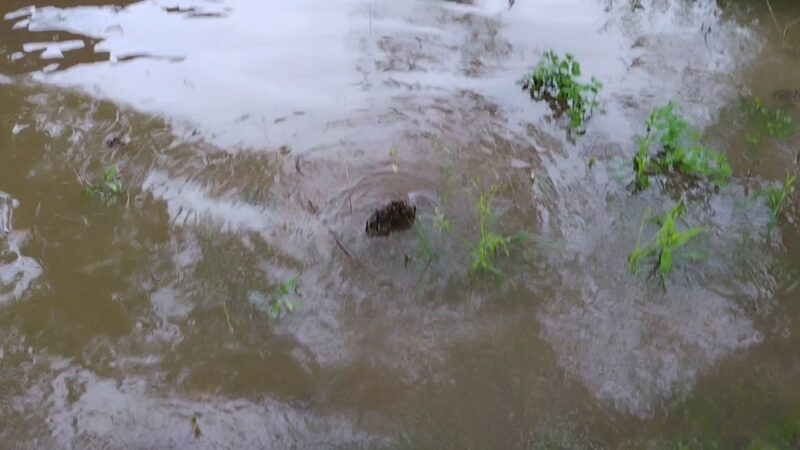 Portstown Park - Huntingdon, PA