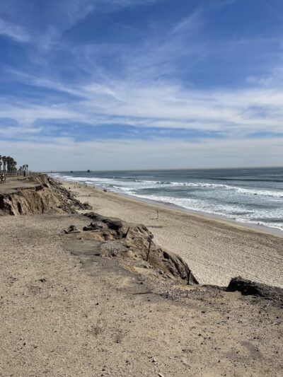 Dog Beach - Huntington Beach, CA