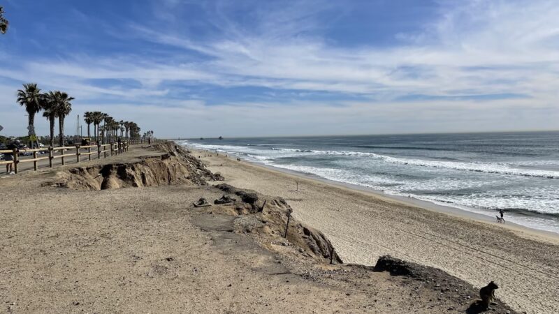 Dog Beach - Huntington Beach, CA