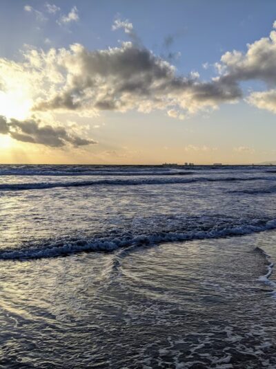 Dog Beach - Huntington Beach, CA