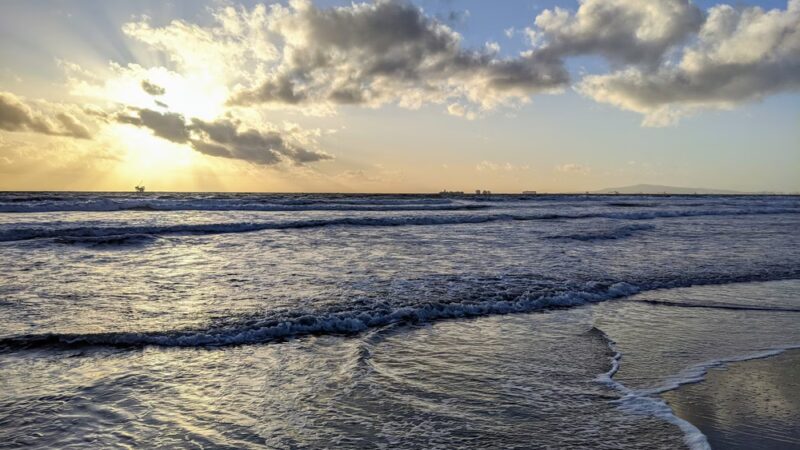 Dog Beach - Huntington Beach, CA