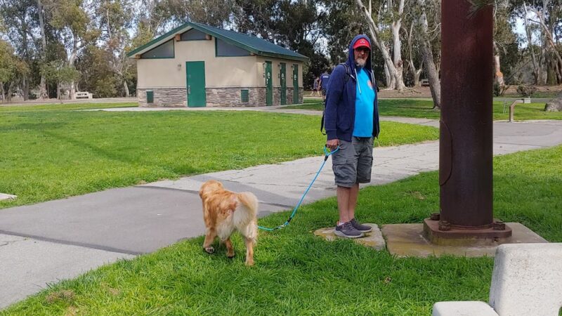 Central Park Dog Park - Huntington Beach, CA
