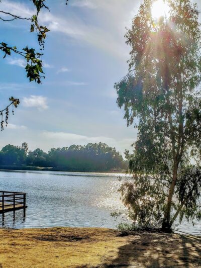 Central Park Dog Park - Huntington Beach, CA