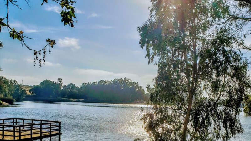 Central Park Dog Park - Huntington Beach, CA