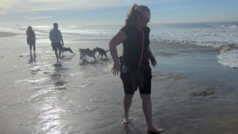 Dog Beach | Huntington Beach - Huntington Beach, CA