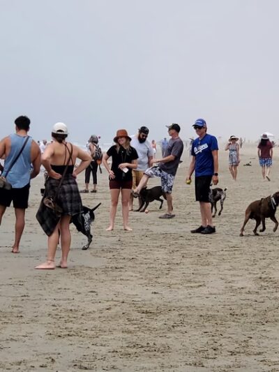 Dog Beach | Huntington Beach - Huntington Beach, CA